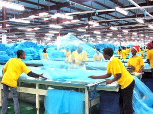 Le Rwanda veut installer une usine des moustiquaires (Photo internet)