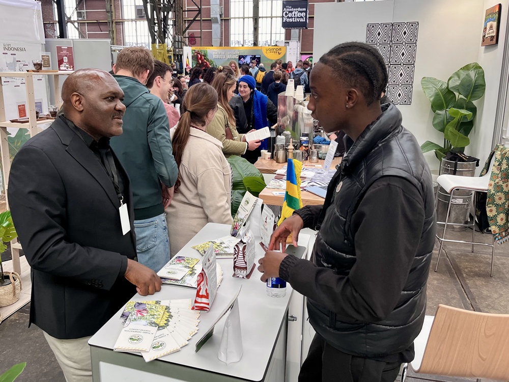 Le café rwandais s’impose sur la scène d’Amsterdam